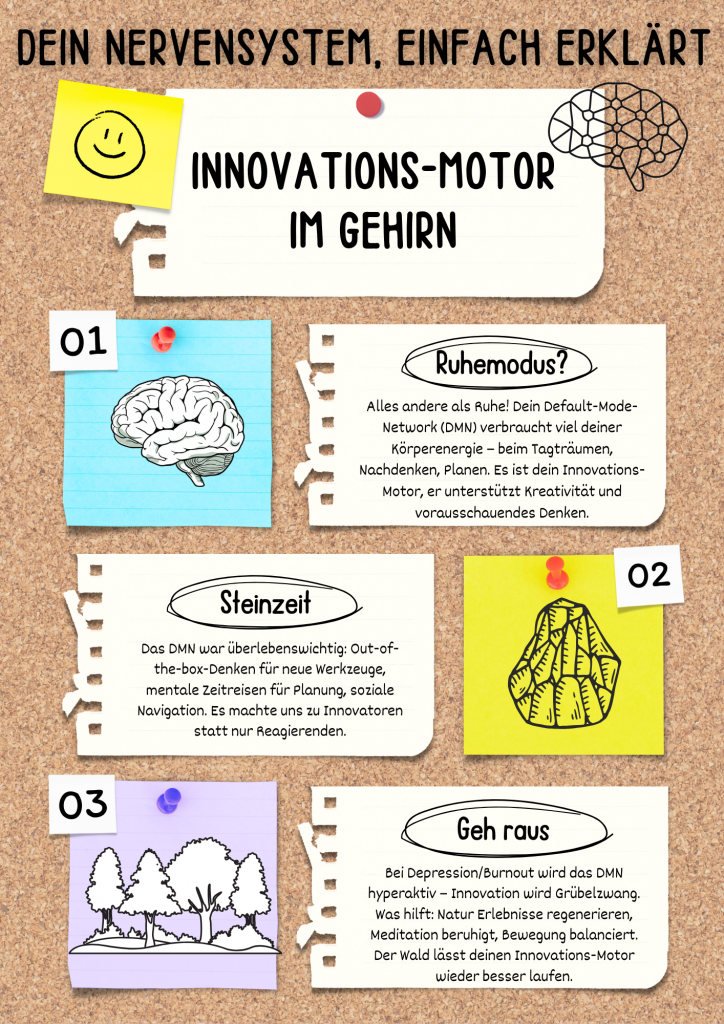 DMN Default-Mode-Network dein Nervensystem einfach erklärt