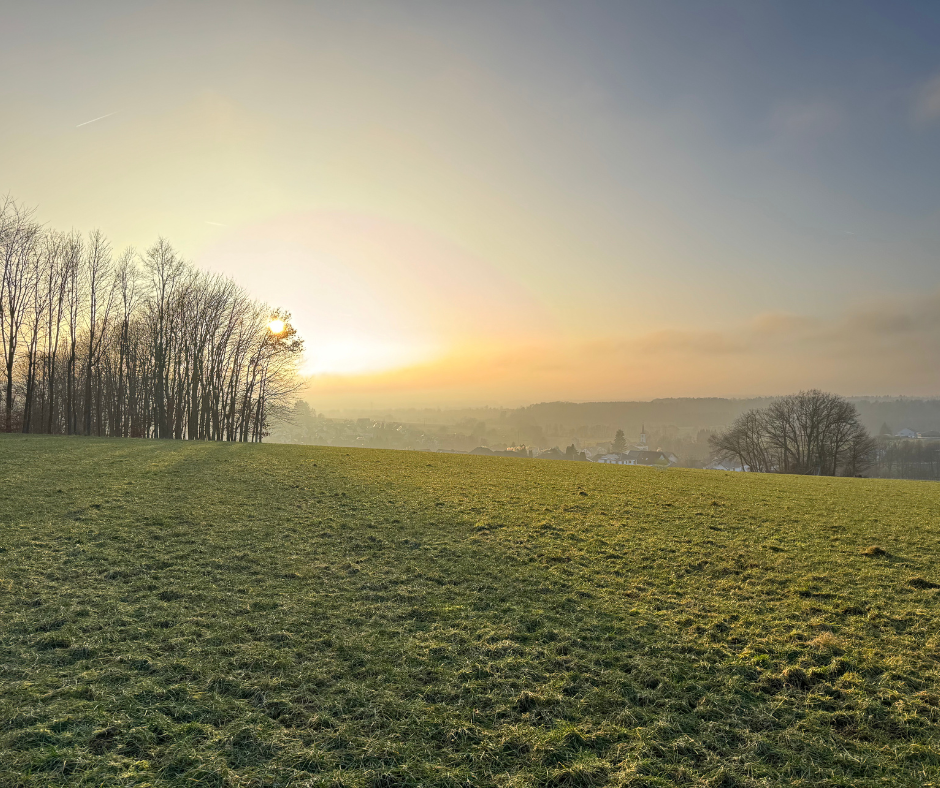 Morgenstimmung in der Umgebung der Praxis in Mogendorf